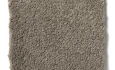 Cores - 402 - Cachemir