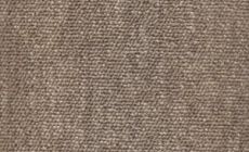 Cores - 664 - Sideral