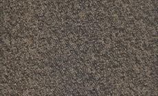 Cores - 001 - Camel