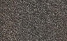 Cores - 009 - Bark