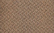 Cores - 908 - Civet