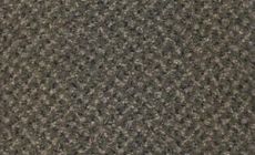 Cores - 920 - Avocato