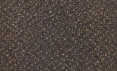 Cores - 921 - Castor